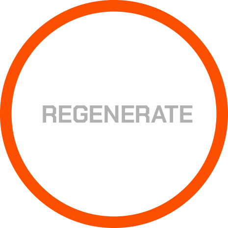 Regenerate